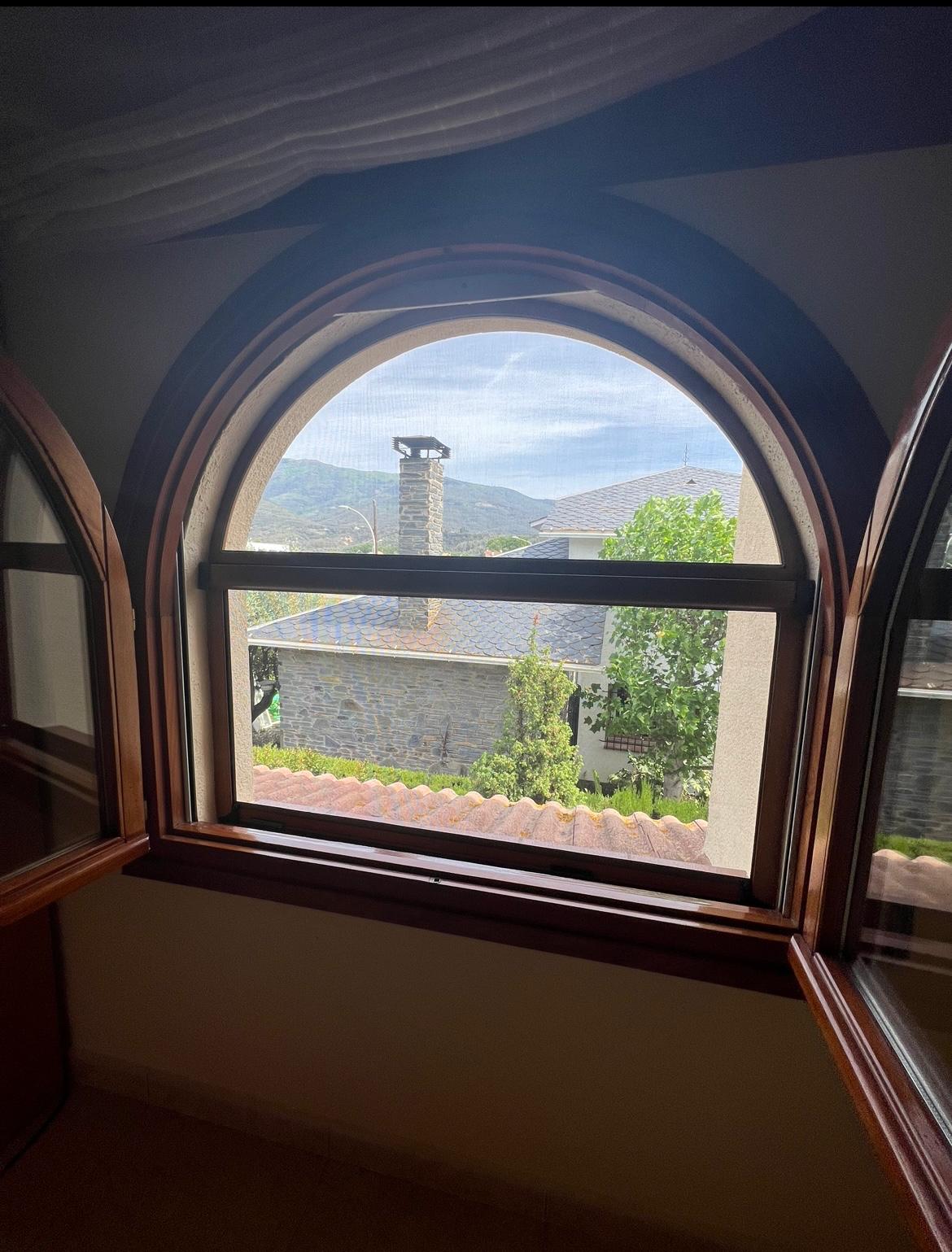 Mosquitera especial 1